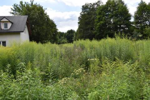Działka budowlana na sprzedaż, 7500 m2, Długokąty