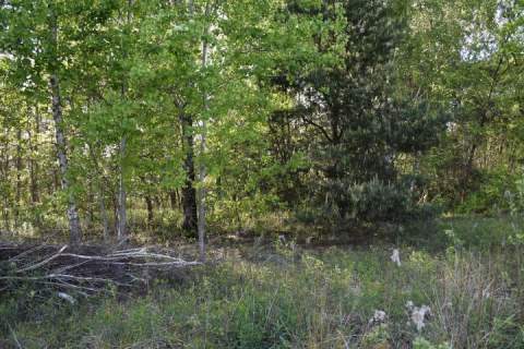 Działka budowlana na sprzedaż, 1500 m2, Bednary