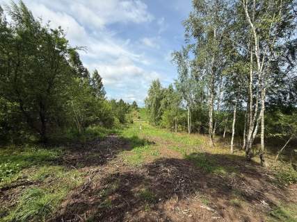 DZIAŁKI BIELKÓWKO/STRASZYN