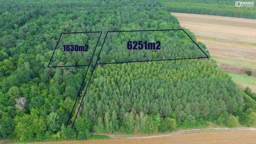 Działka Leśna Niemce - pow. 1630m2