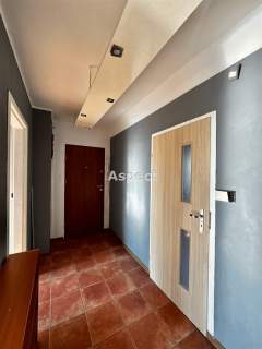 M4 54m2 Świetny Układ/Balkon/Zieleń/CO Miejskie
