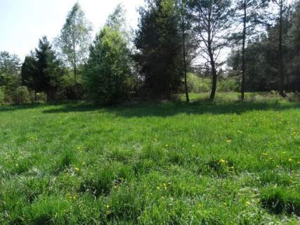Działka budowlana na sprzedaż, 6300 m2, Adamowice