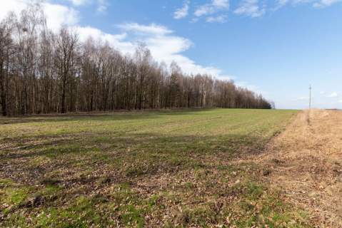 Działka rekreacyjno rolna Czarny Las 1,49ha