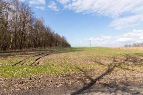 Działka rekreacyjno rolna Czarny Las 1,49ha