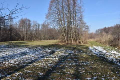 Działka budowlana na sprzedaż, 31100 m2, Stary Karolinów