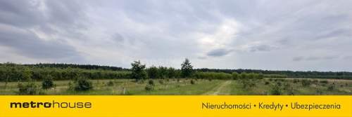 5 ha w jednym kawałku - Potycz, 40 km od Warszawy