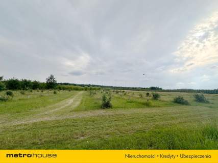 5 ha w jednym kawałku - Potycz, 40 km od Warszawy