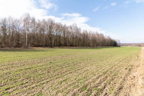 Działka rekreacyjno rolna Czarny Las 1,49ha