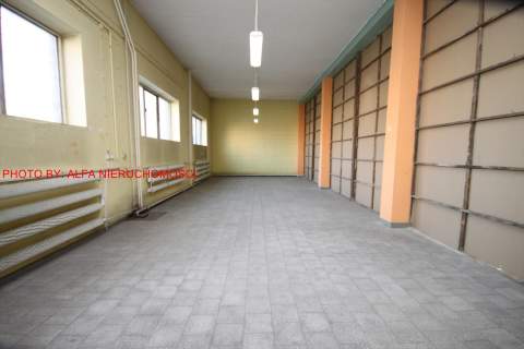 Lokal użytkowy do wynajęcia, 244 m2, Świdnica