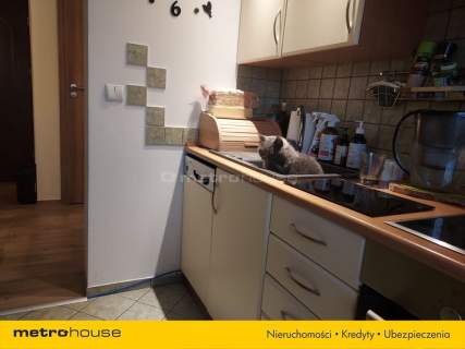90 m2 mieszkanie z pięknym widokiem w Uzdrowisku