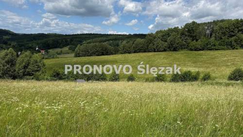 Sprzedam działkę 30 arów Michałkowa