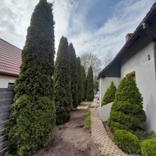 Na sprzedaż dom w otoczeniu lasów i gór