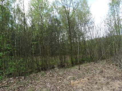 Działka budowlana na sprzedaż, 19206 m2, Miedniewice