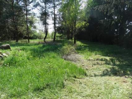 Działka budowlana na sprzedaż, 6300 m2, Adamowice