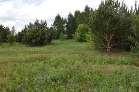 Działka budowlana na sprzedaż, 3749 m2, Bieganów