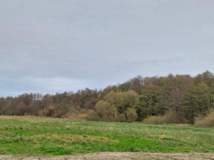 Działka nad jeziorem