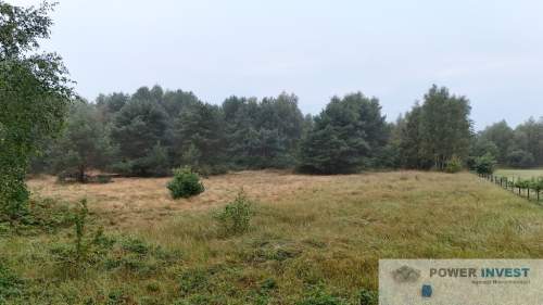 Działka budowlana na sprzedaż, 6474 m2, Kodrąbek