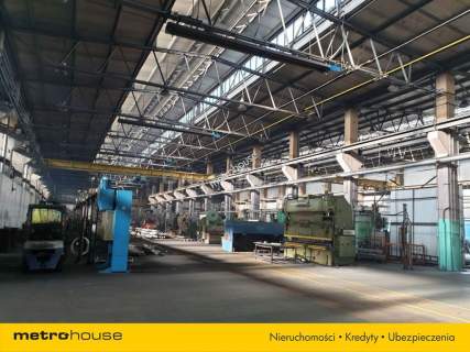 Magazyn do wynajęcia, 5300 m2, Szczekociny