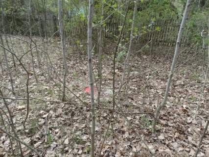 Działka budowlana na sprzedaż, 19206 m2, Miedniewice