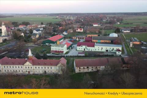 Kawałek lasu tylko dla siebie