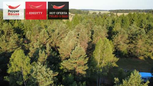 DZIAŁKA ROLNA W SPOKOJNEJ OKOLICY 2000M2