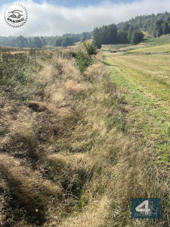 Działka z potencjałem
