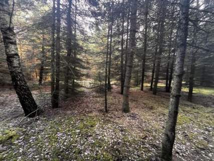 Teren inwestycyjny 4,26 ha MPZP -1PU ok.Mszczonów