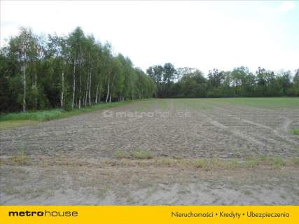 TEREN POD ZABUDOWĘ JEDNORODZINNĄ , WZ, LUCINY