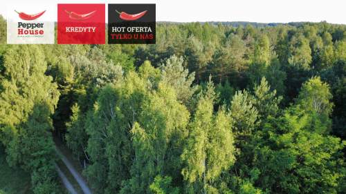 DZIAŁKA ROLNA W SPOKOJNEJ OKOLICY 2000M2