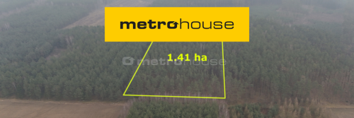 Nieruchomość leśna