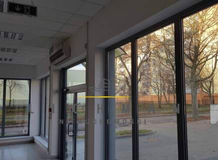 Lokal użytkowy do wynajęcia, 299,2 m2, Łódź