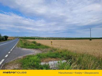 Działka siedliskowa Piława, Mietków pow. 9 030 m2
