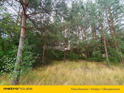 Działka budowlana na sprzedaż, 4800 m2, Podmieście