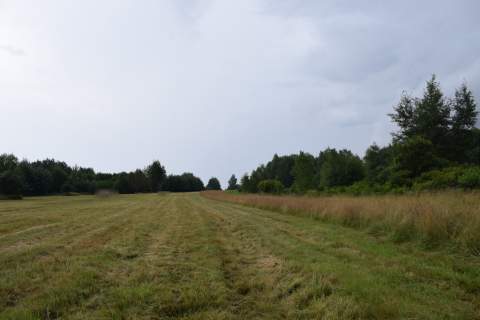 Działki budowlane 39a w Budach Głogowskich