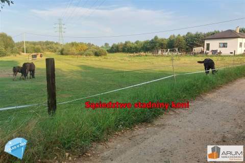 Działka usługowa Wyrazów