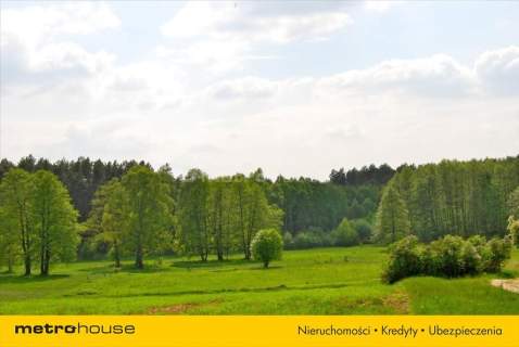 Działka siedliskowa na sprzedaż, 9500 m2, Pąchy