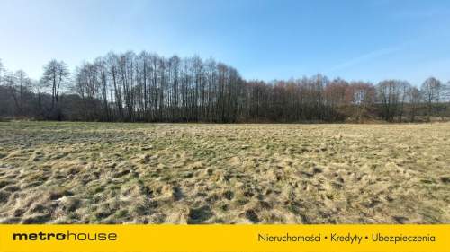 Działka na sprzedaż, 9700 m2, Zabór