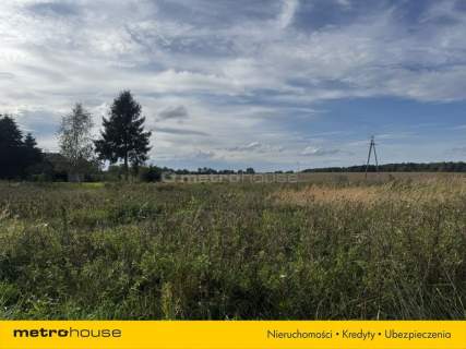 Działka na sprzedaż, 6100 m2, Czernin