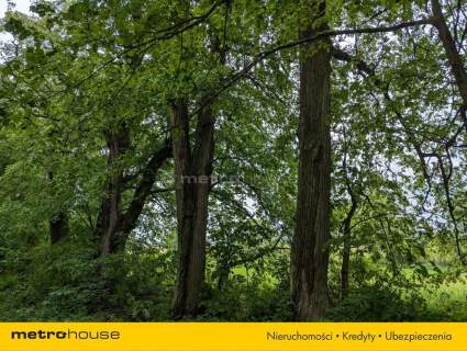 Zabytkowy Park Pałacowy/Dworski z XIX w. - 7.27ha