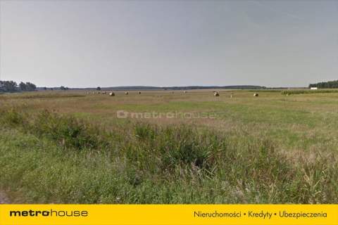 NIERUCHOMOŚĆ GRUNTOWA- LISÓWKI , PRZEZNACZENIE MN