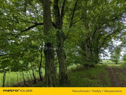Zabytkowy Park Pałacowy/Dworski z XIX w. - 7.27ha