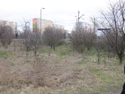 Pod działalność w centrum Wejherowa