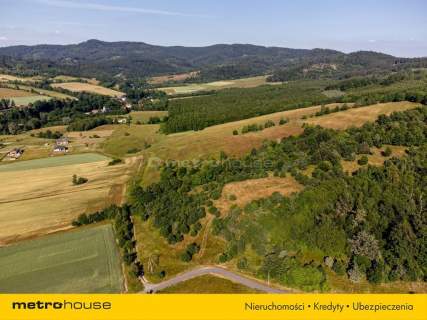 11 HA DZIAŁKA POD INWESTYCJĘ W WOJCIECHOWICACH