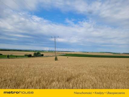 Na sprzedaż działka w Piławie, Gmina Mietków