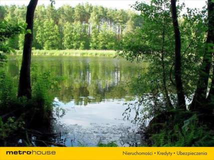 TEREN ROLNY, PRZEZNACZENIE BUDOWLANE, DOPIEWO,