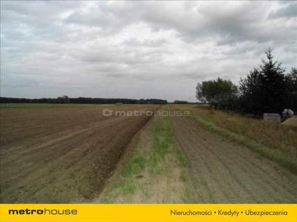DZIAŁKA 1,12 HA -OLSZA POW. ŚREMSKI, W BUDOWLANA