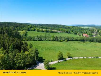 8 ha terenu pod inwestycję koło Polanicy-Zdroju