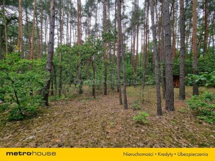 Działka rekreacyjna na sprzedaż, 3300 m2, Mierzwice-Kolonia