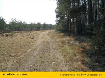 TEREN POD ZABUDOWĘ JEDNOTODZINNĄ, DĄBROWA NOWA