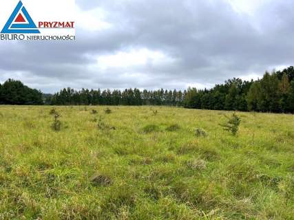MARUNY - DZIAŁKI DO SPRZEDAŻY z warunkami zabudowy